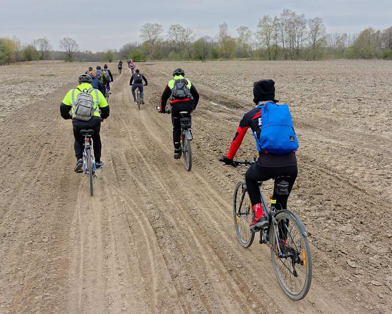 Полевая дорога в сторону Кумачёво.