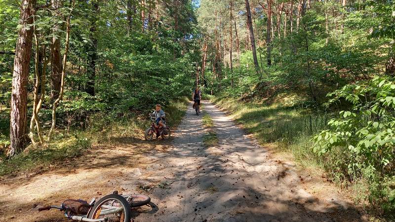 Подъехали остальные