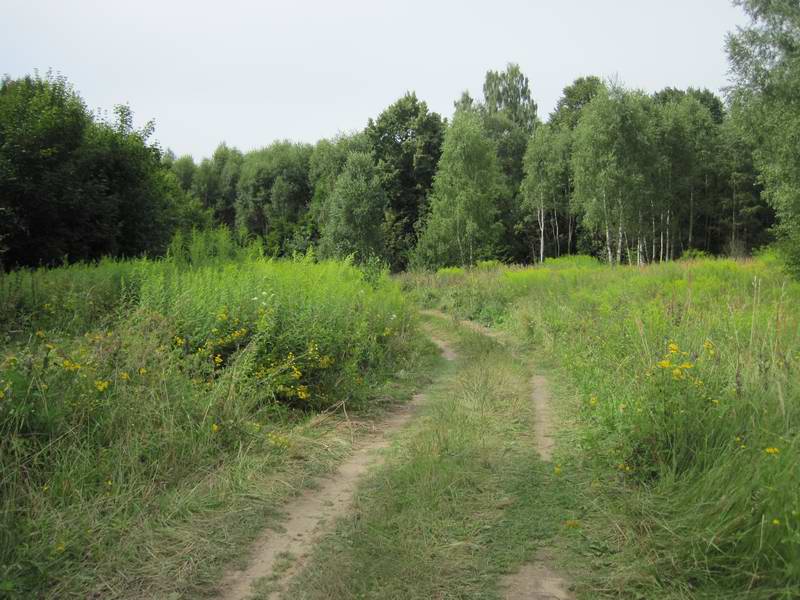 14:48. Плавный поворот налево