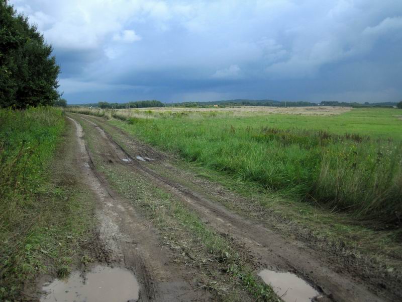 16:28. В Калининграде идёт дождь, а у нас - нет