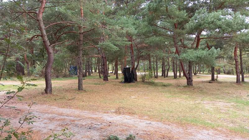 Вот такие сооружения в лесу, Павлово