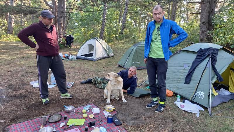 К нам пришел хвостатый друг, Дима проснулся