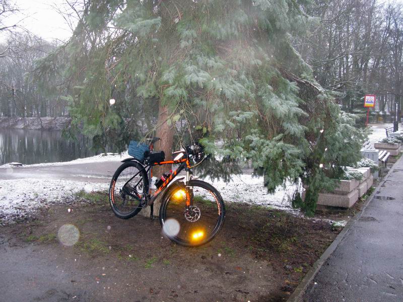 Велосипед организатора поездки прячется под ёлкой от дождя и снега в Южном парке.