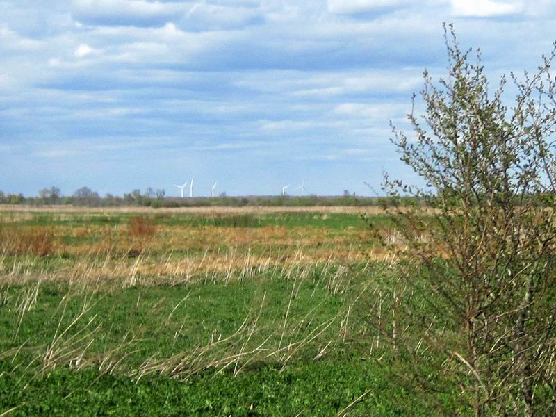 Подъезжаем к Ясному. Видно Литовские ветряки