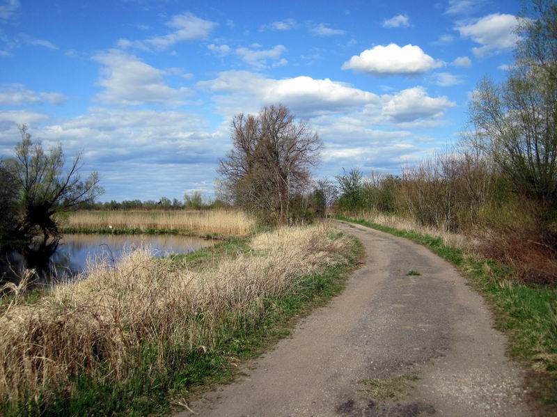 Дорога идёт вдоль реки Старая Матросовка