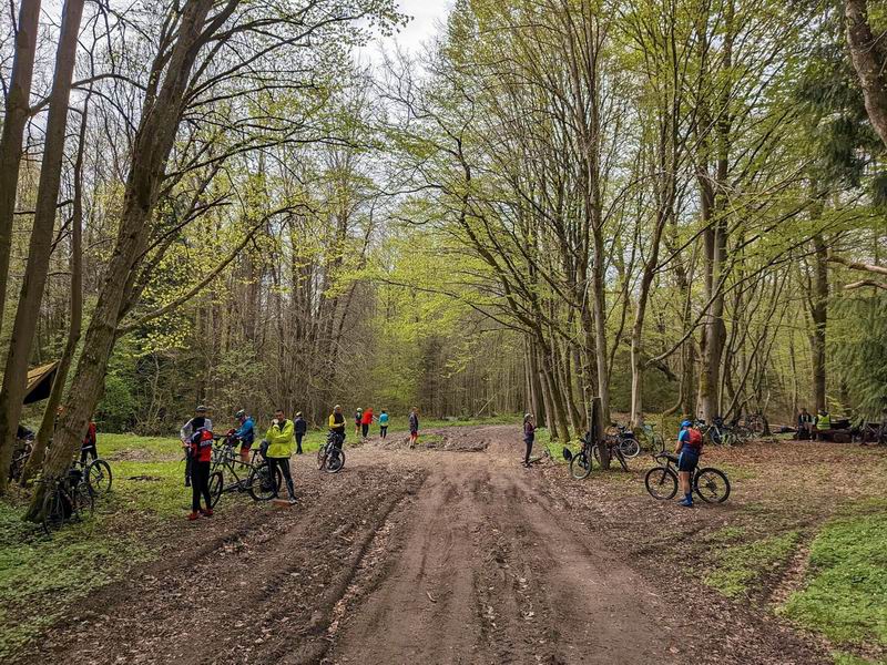 Санитарно-обзорная остановка в красивом месте у пихт в Матросовском лесу.