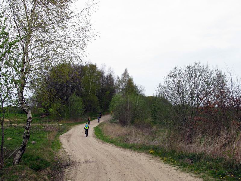 Живописный участок дороги Кудринка - Мельниково.