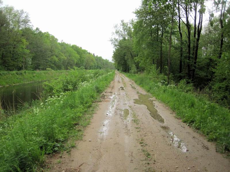 Дорога по восточной стороне Западного канала