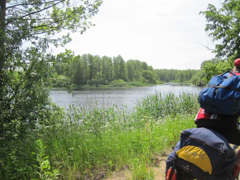 Перекрёсток рек 'Куриная лапа' и заднuца Александра Миронова