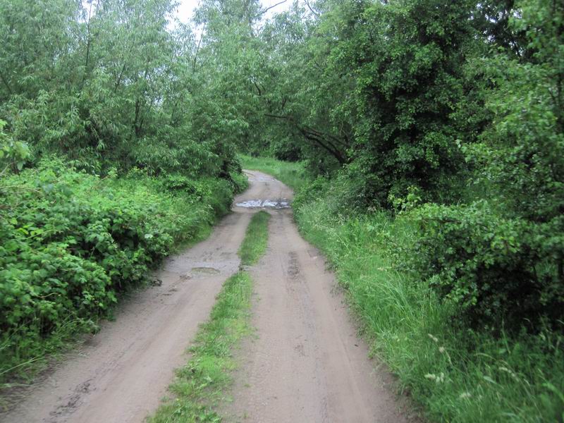 Едем грунтами вдоль Преголи