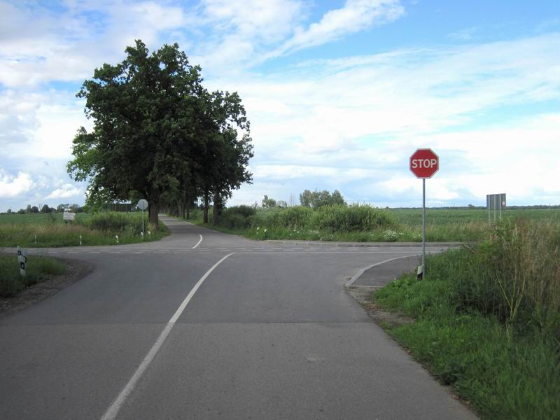 Поворачиваем направо в Тростниках