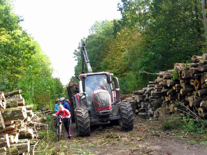 Хорошо,  что у перекрестка дорога расширяется и можно его обойти.