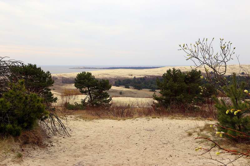 IMG_6520 IMG_6520