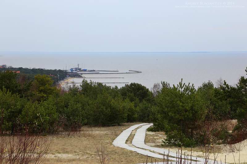 IMG_6547 IMG_6547