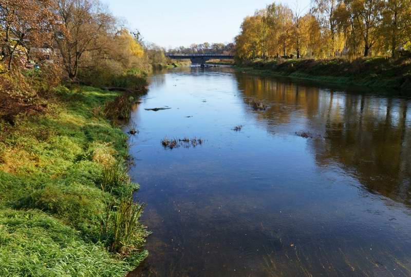 в Правдинске