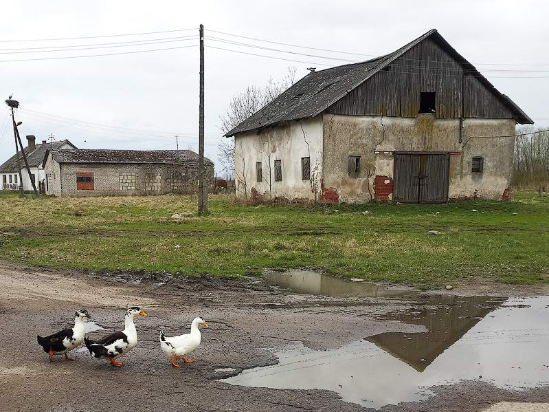 Узловое тоже прекрасно