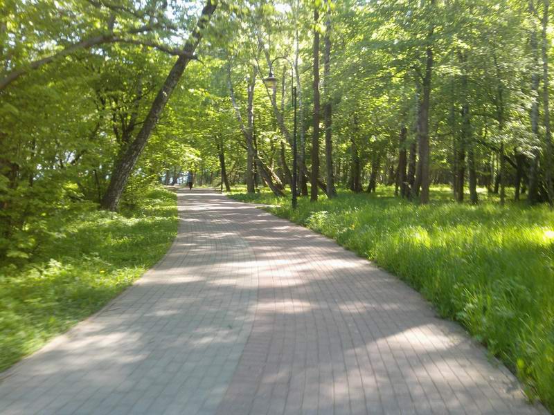 Велодорожка в парке