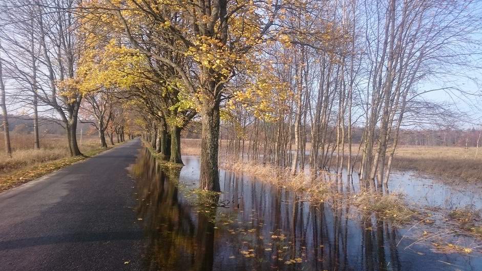 Разлив воды по дороге