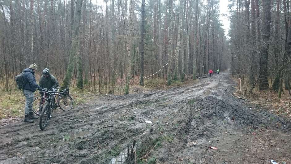 Выходим обратно на Балтийское шоссе