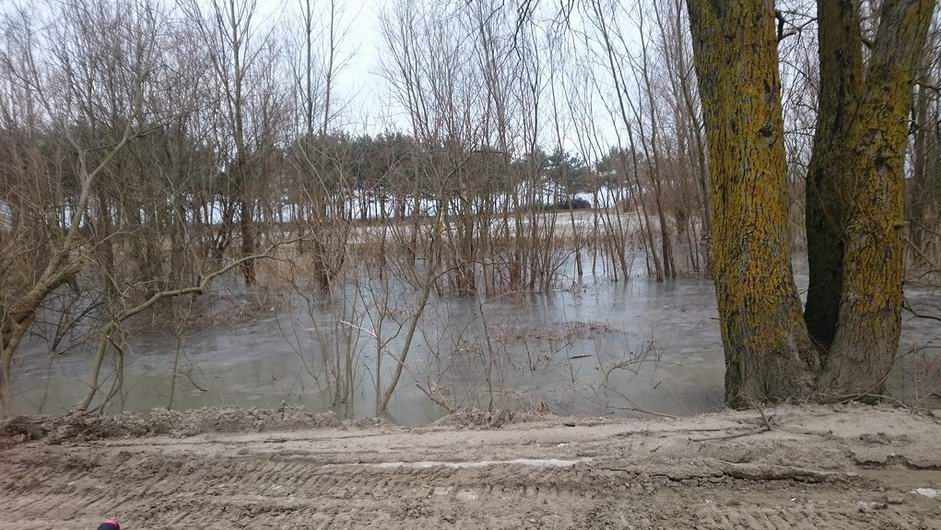 Вид из окна велосипеда в сторону моря