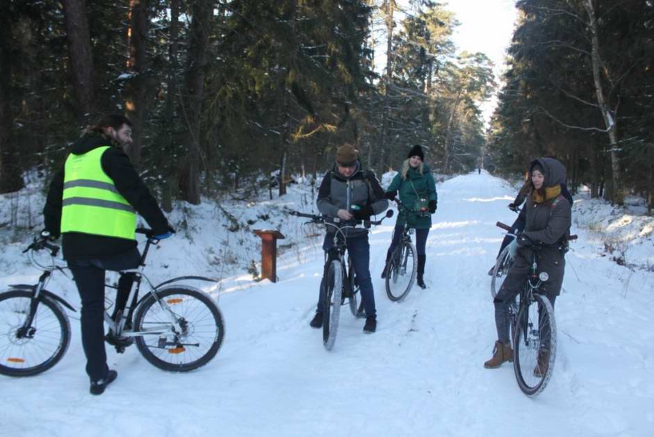 Поехали в Королевский бор