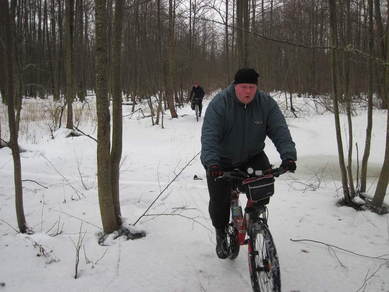 Едем по дороге на север