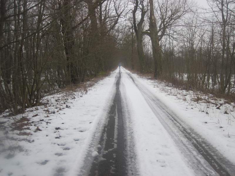 Дорога