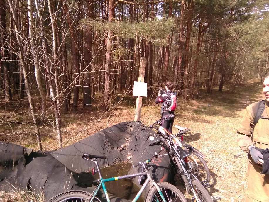 Остановка в лесу...