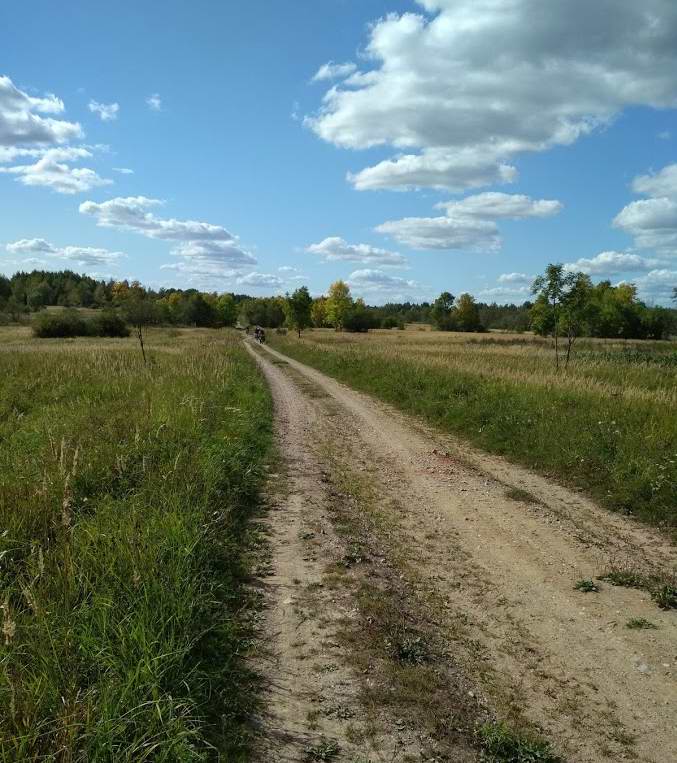 Дорога Третьяково - Добровольск.