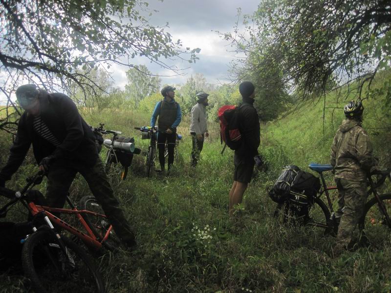 Остановка у яблони с целью подкрепиться