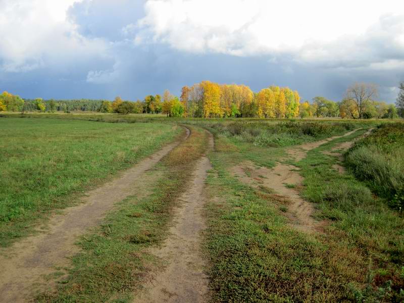 Осенний пейзаж