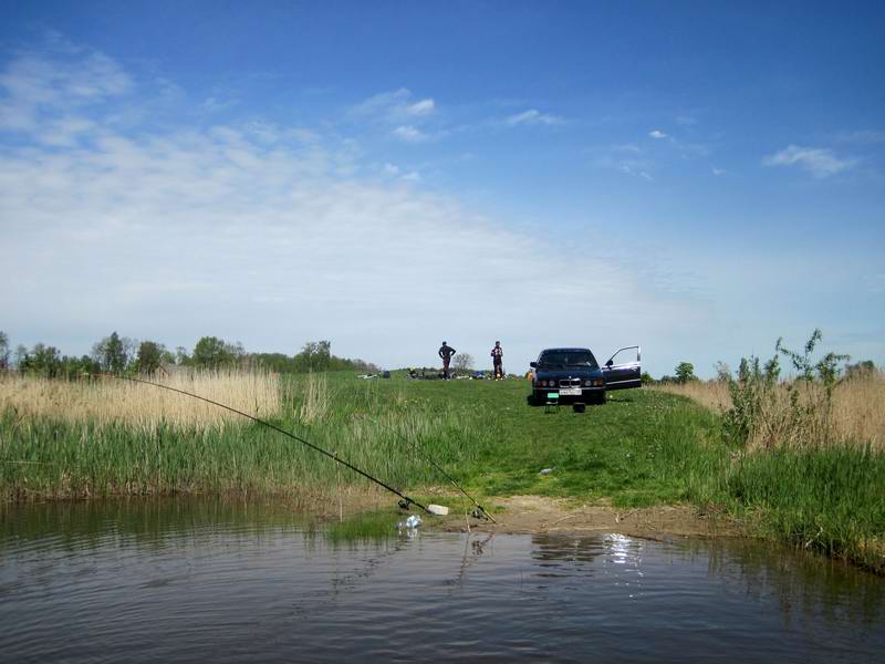 Поляна на оз. Дубовском. Вид с воды