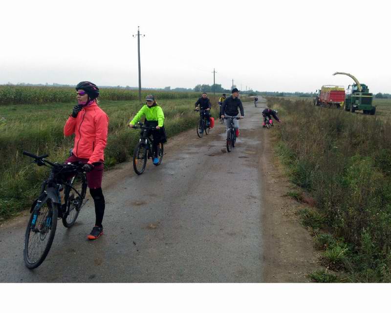 Дорога через кукурузное поле у п. Новгородское