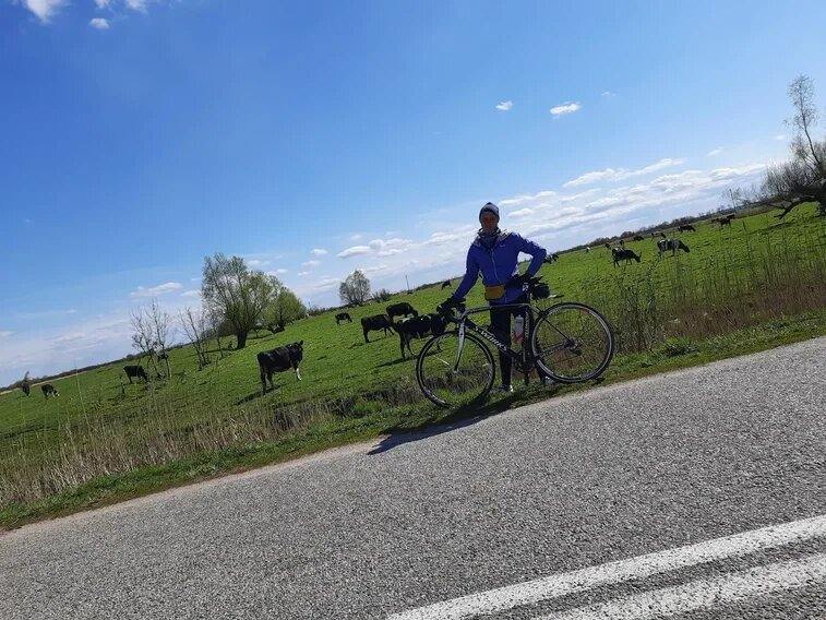 Евгений Ким с коровками...