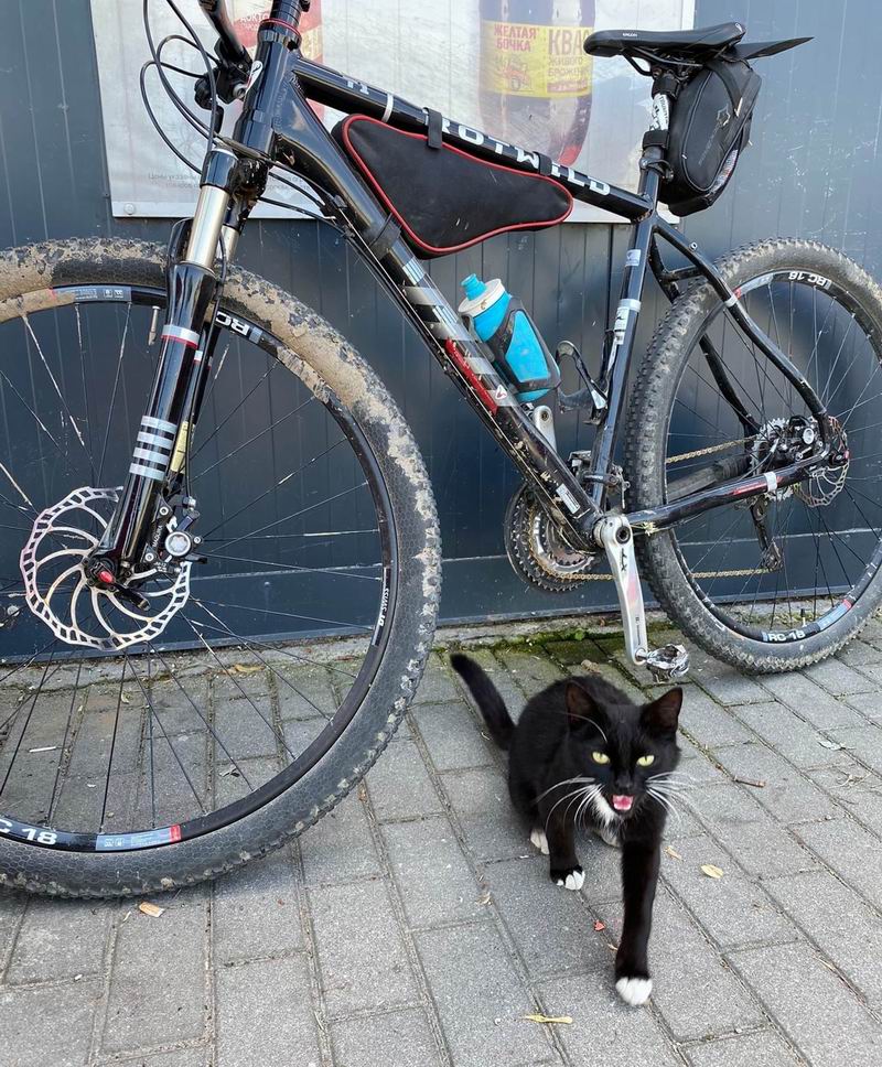 Чёрный кот охраняет велосипед Андрея Батракова у магазина в Знаменске