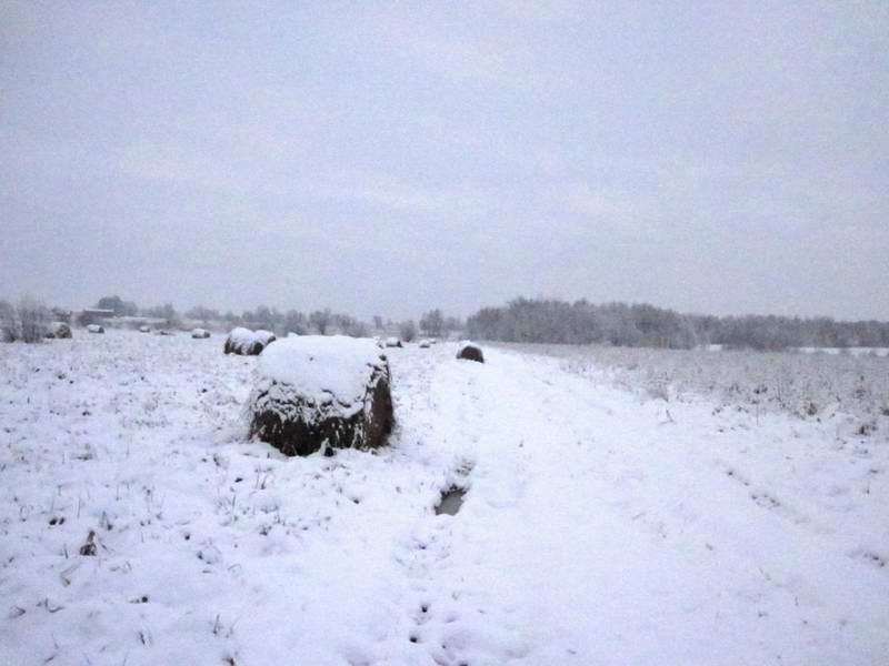 Поле с тюками