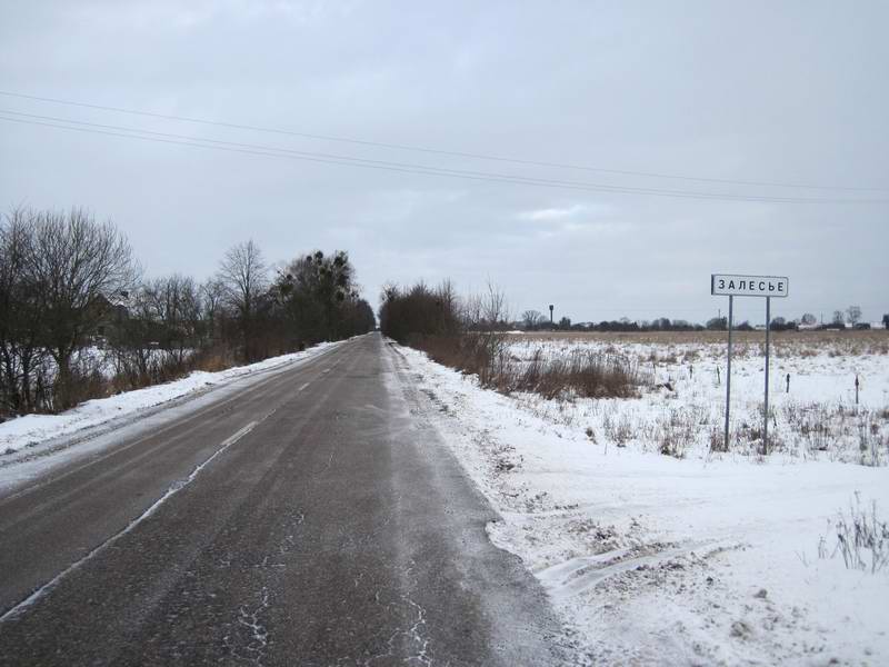 Приехали в Залесье