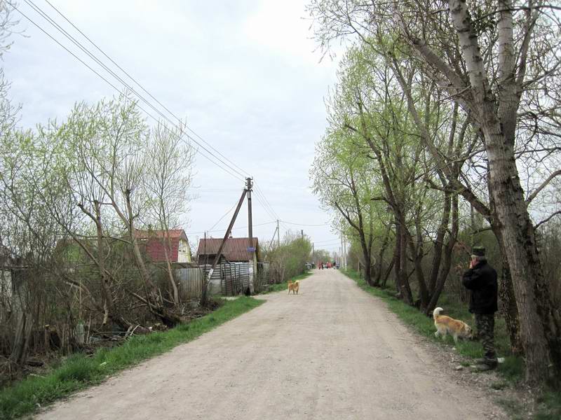 Проезжаем СНТ Голубево