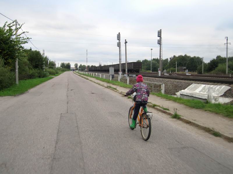 Луговое. Илиане надоело ехать в прицепе, и она отжала у сестры велосипед