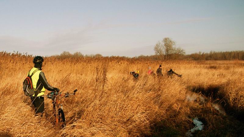 В низине поле оказалось сильно подтопленным, первую лужу мы с Андреем обошли справа по кочкам, остальные участники пока в замешательстве.