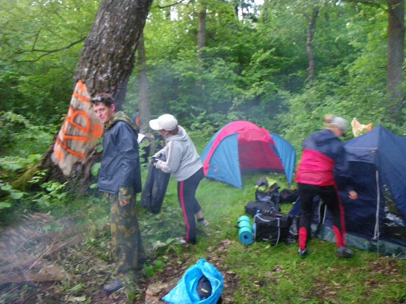 Это же дерево на фото 10-летней давности из Калининградской Голландии. Надпись полностью стёрлась