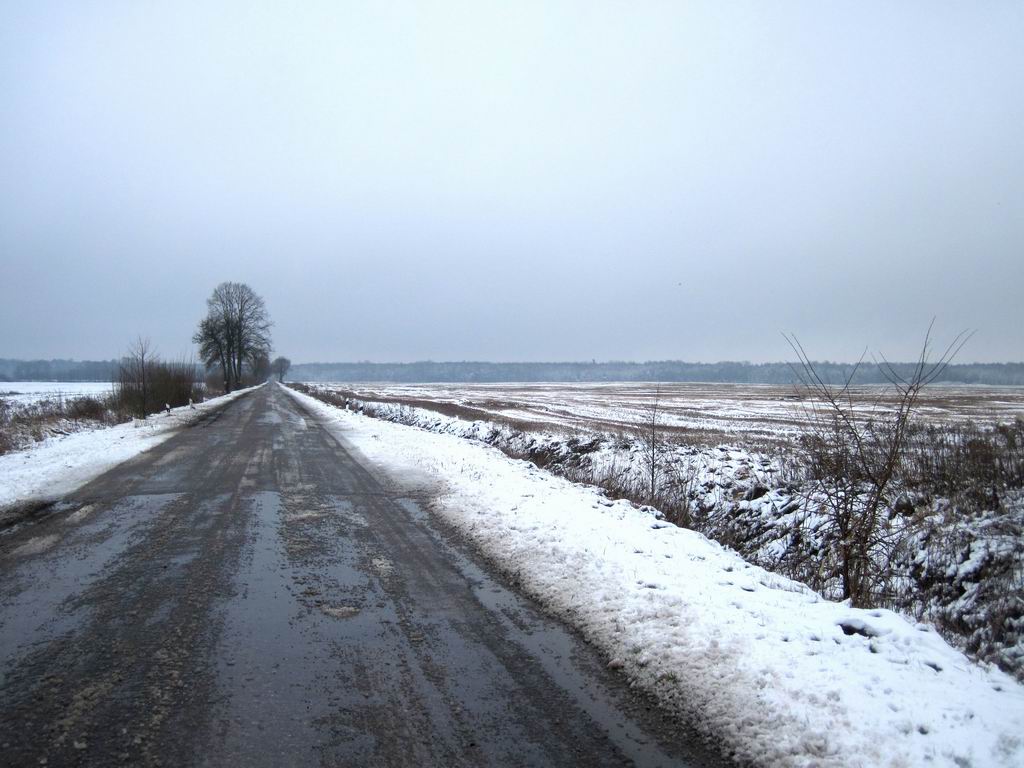 Впереди - Головенский лес