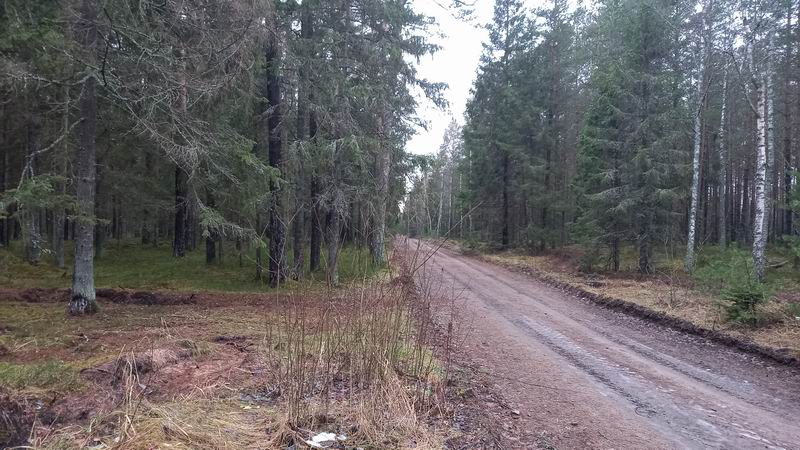 Наша лесная перемычка, первопроход для клуба