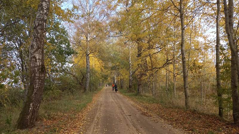 Дорога возле карьеров, осень
