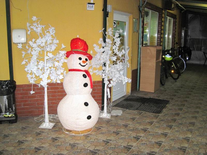 Снеговик в кафе