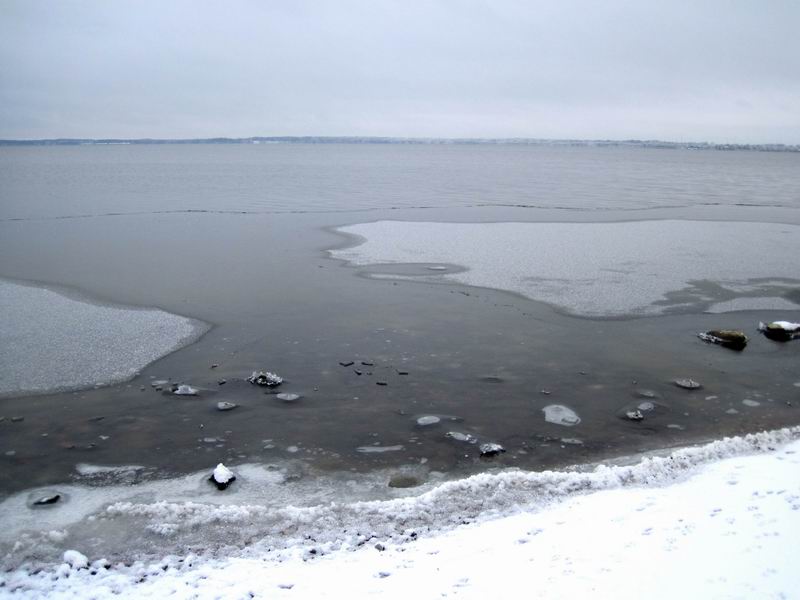 Залив