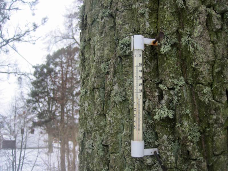 Зима кончается. Температура уже +2°C