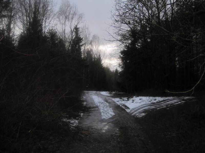 Въезжаем в Неманский лес