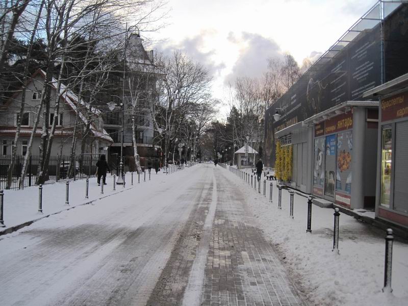 Велодорожка на ул. Ленина в Светлогорске