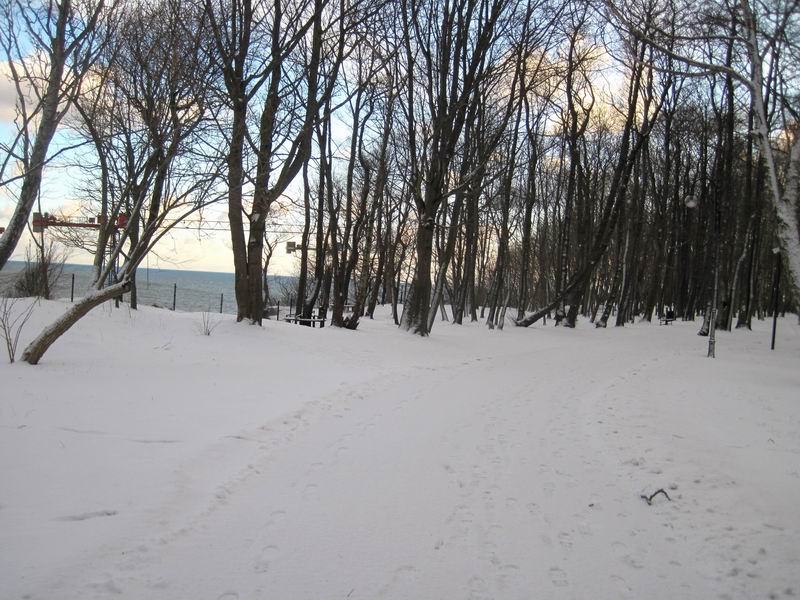 Едем по велодорожке через Центральный парк